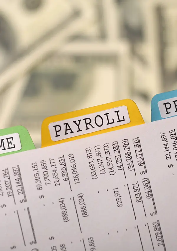 Why a Solo Payroll Manager Might Be a Better Fit Than Popular Software